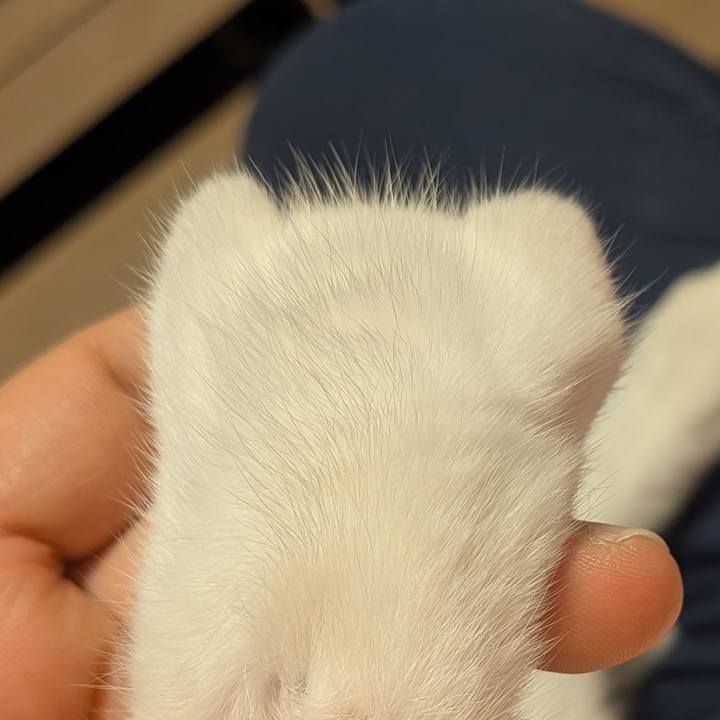 0e0985bf 880b 4423 bf7f ae63268f80be 1759911369940