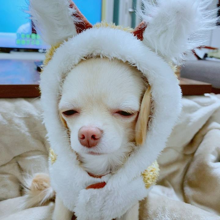 0e09be72 e88b 4539 8c38 e1a2f2309e5a 1609841788784