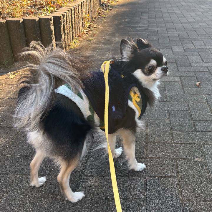 0e09e52b 75b6 42c1 a4f8 f15e092a5971 1737907054140