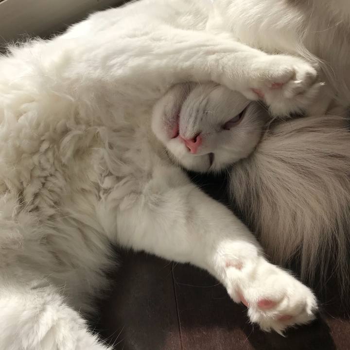 0e09eb5a 3c2f 41bd 8660 e5ded454843f 1525523938537