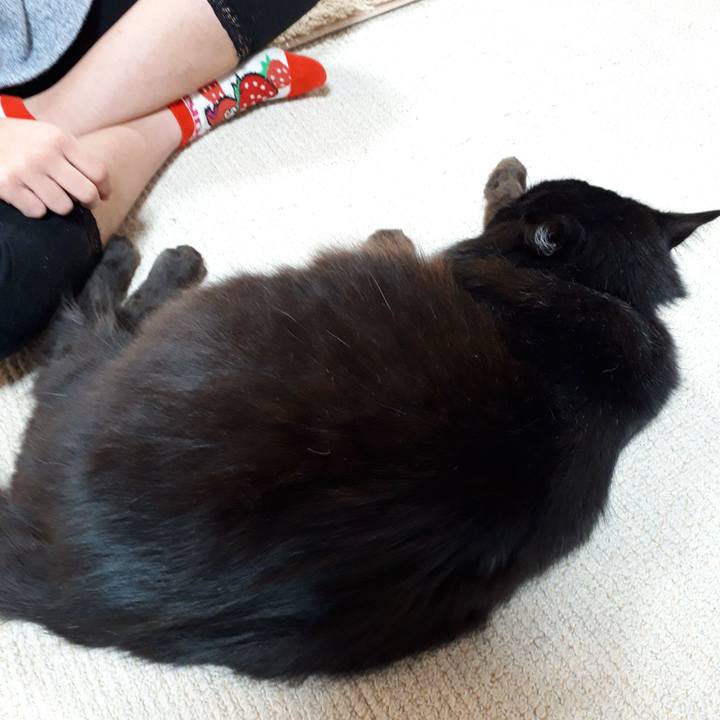 0e09fbff 2107 4336 9182 10556a45899b 1517732546136