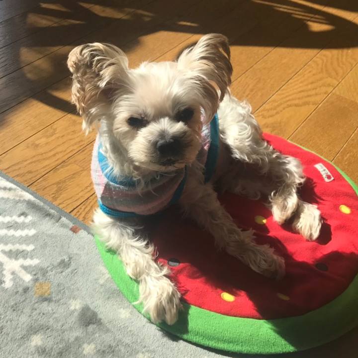 0e0a05ef 13b1 4a8a 9655 6ece9565b755 1570776829826