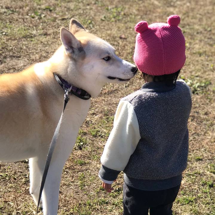 0e0a3971 d105 4302 bb04 35ce2ad8341d 1510455207781