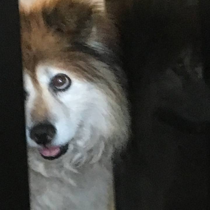 0e0a4319 8a62 40ba b028 7ffba461a64b 1621315675274