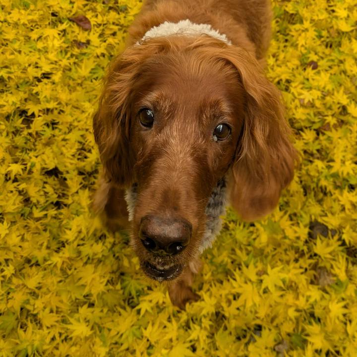 0e0a632c 327a 4916 a603 0640ef14f607 1764151115499