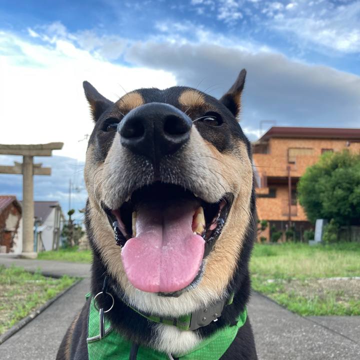 0e0a76b0 fecb 4117 b16d de1128893e37 1594720367886