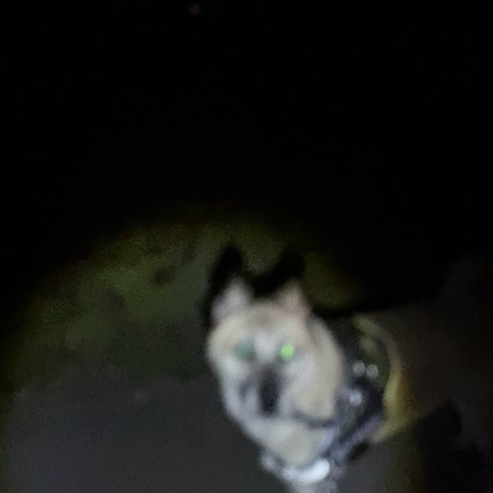 0e0a9810 e533 4067 beda 8ee394220102 1762778874788