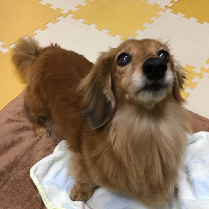 0e0a9c1b f1c8 4e4d bd05 bbb06ad160c0 1607780853467