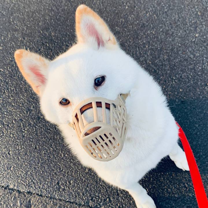 0e0aa1ff 16ac 42d8 99fa 1e2efd2bed36 1570486756703