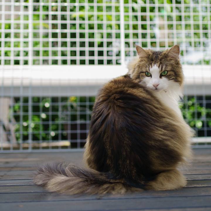 0e0aa684 cf9c 4470 bbec e2c514ea565a 1653185685183