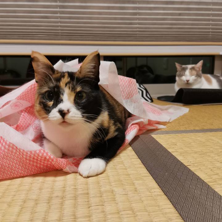 0e0ababa 349a 4e83 ba09 7e7a3e5124f2 1614845674082