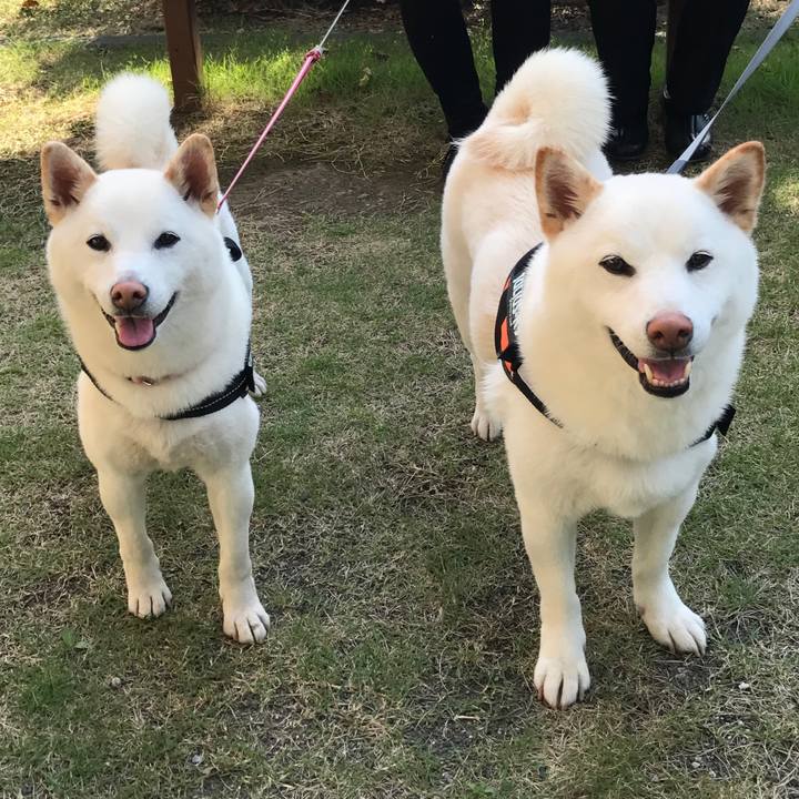 0e0abe93 f6b9 4b30 a6d1 9b527cb9ef4a 1538809672942