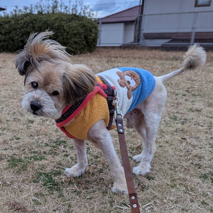 0e0b017d 11fe 4e4d 92da d133e3e3f131 1741259619218