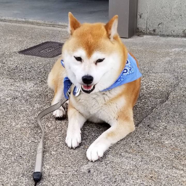 0e0b28a6 9506 4aef b7dd f6690bee1ba6 1560236187937