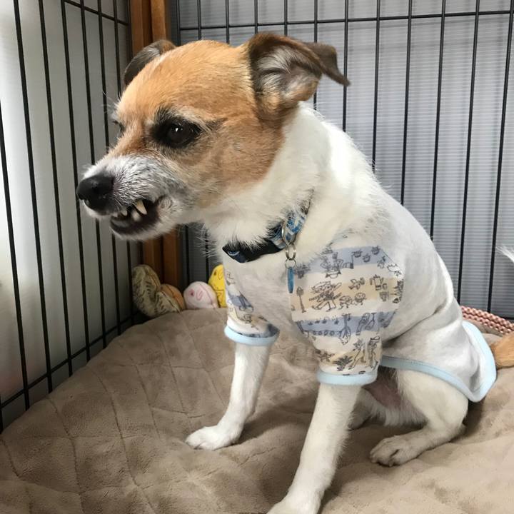 0e0b359b 29fd 4ab9 affe 311be7094c5a 1524013917074