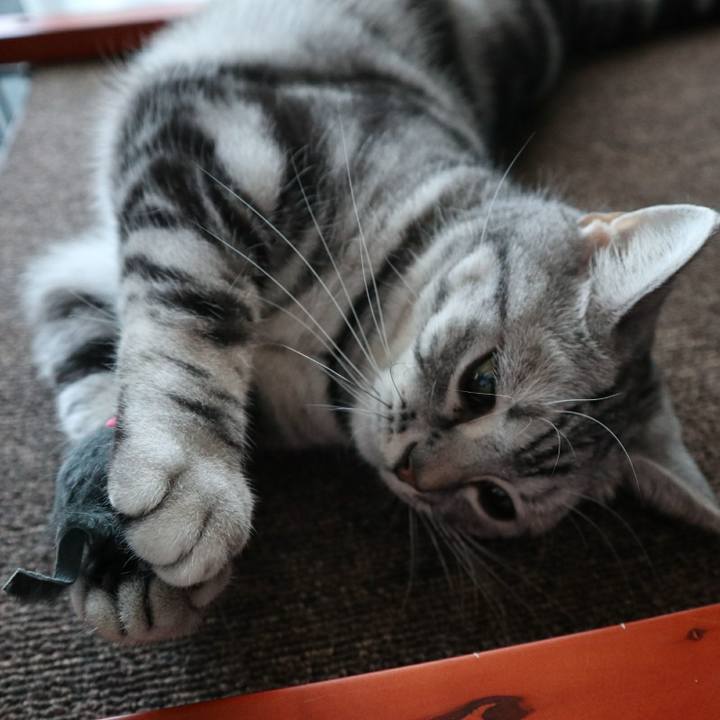 0e0b6812 215c 49f1 8d5c c7209fc82118 1583488107893