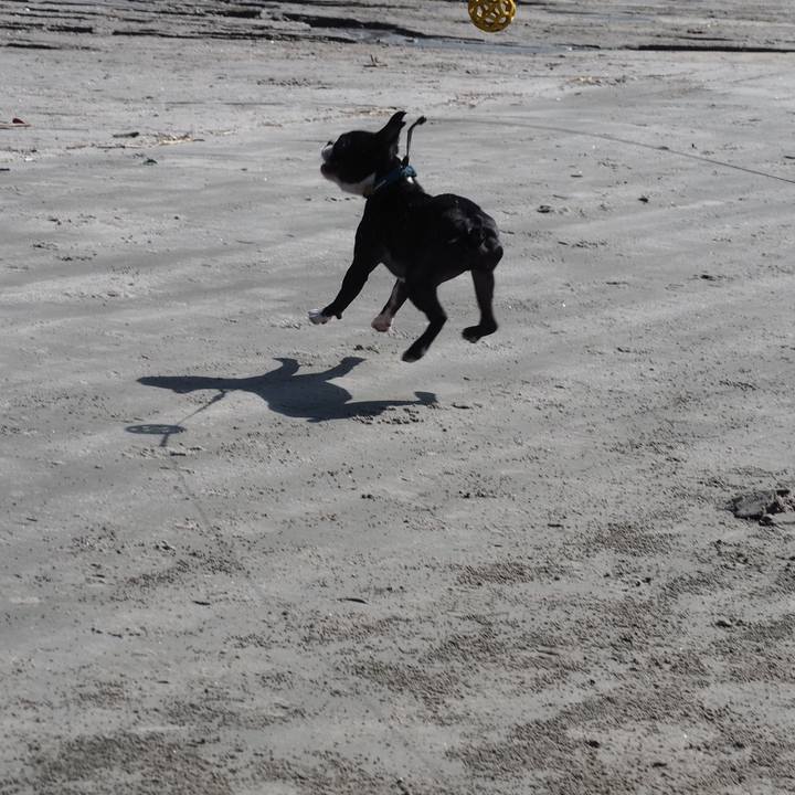 0e0b8827 d964 4cf3 8f82 15718e59e18f 1572155957764