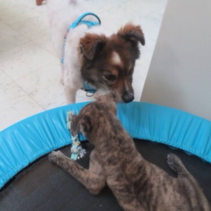 0e0b9a47 54f5 44cd ab56 bcd50385b0e5 1601131862720