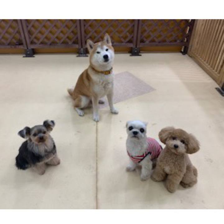 0e0ba2e5 7c97 4e02 b448 da6e288828ea 1574249380320