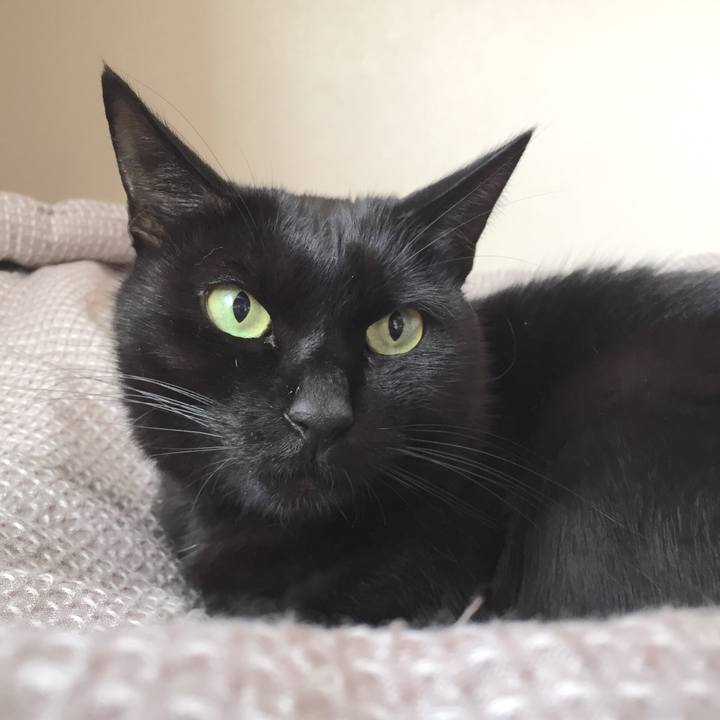 0e0bd35b dca7 4993 999a f3ec4c7a082f 1509672415550