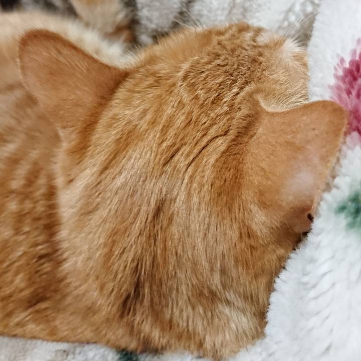 0e0c13e7 fe6c 49d1 8a38 8e7a86e71f6a 1640349362604