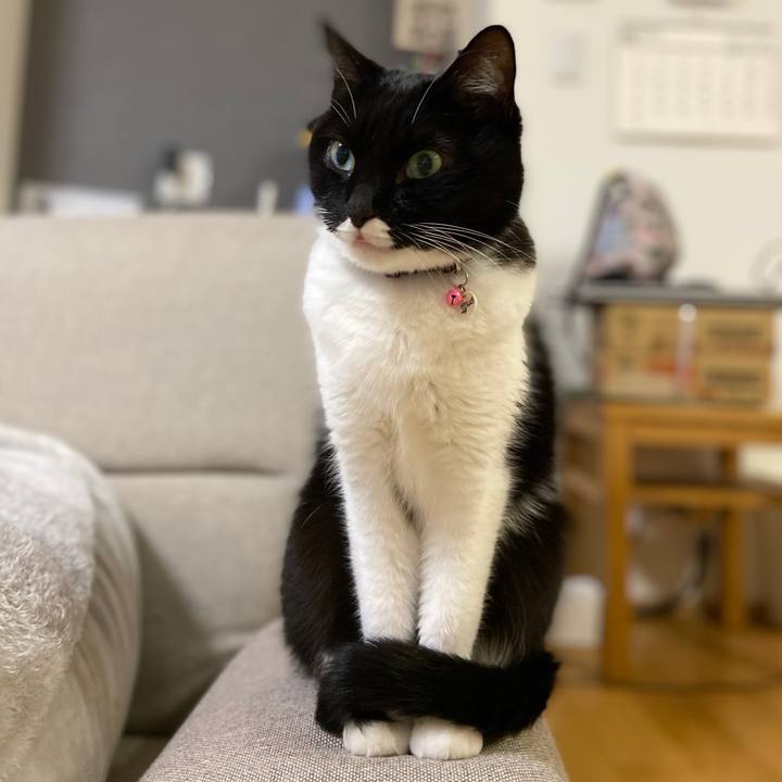 0e0c37da 4493 460c a36c 87b2860b4cde 1635042537667