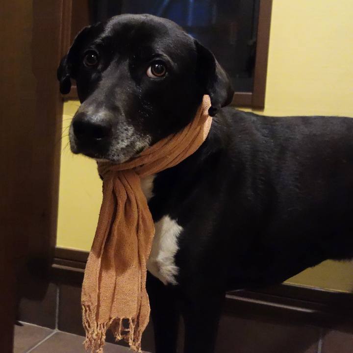 0e0c3d1a 4f7b 44c0 b9d3 3ba4073324f0 1679397275961