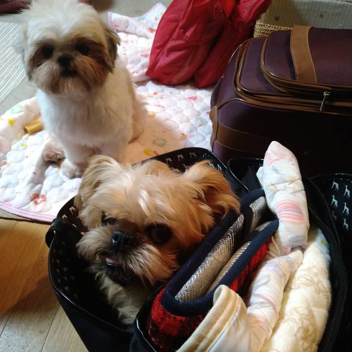 0e0c5746 b162 433f a1f9 b40169883d52 1603522623247