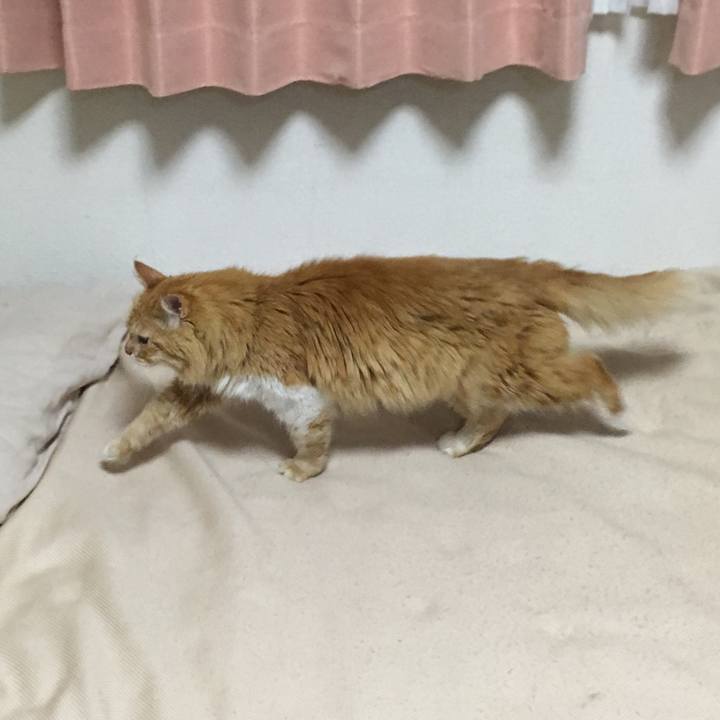 0e0cc86d 0a50 4b32 834a d3d7805eea62 1529573108840