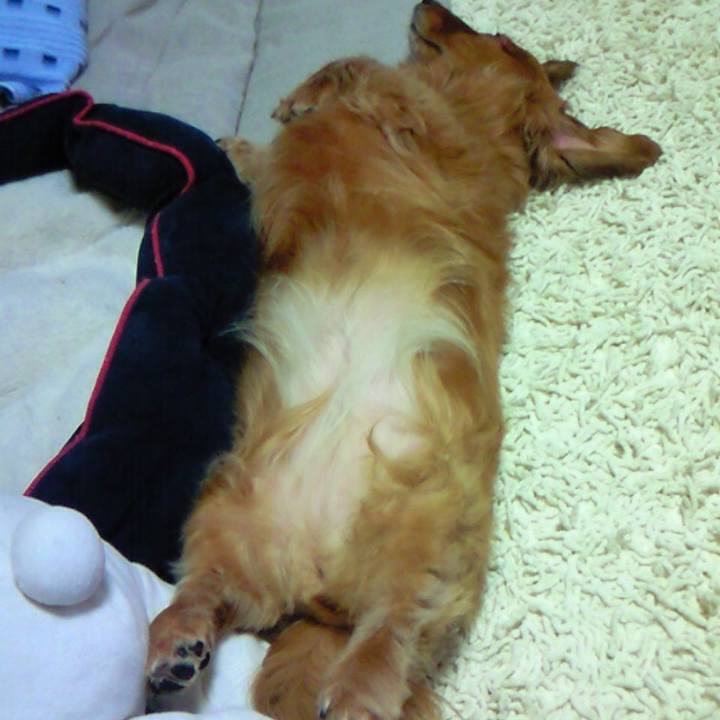 0e0ccf0b 3332 4fe7 bafc 7fd61df8276a 1550426757833