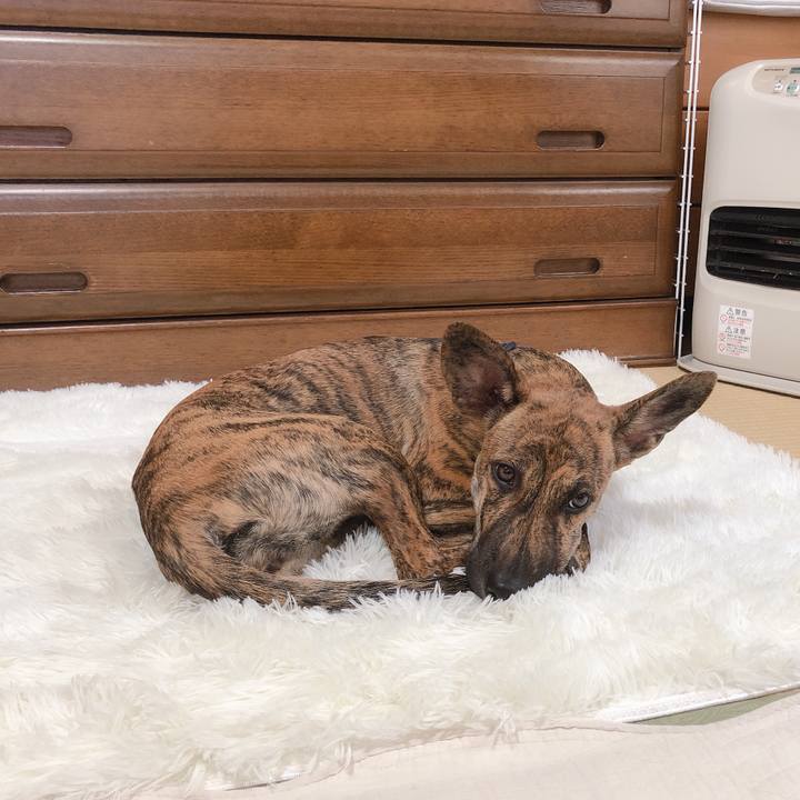 0e0ce980 4e04 449b a5c2 4b7b1362382d 1575181189099