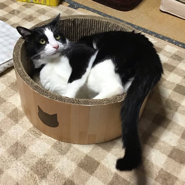 0e0cf6d0 5135 484e 864f 99c686e730a2 1730017890929