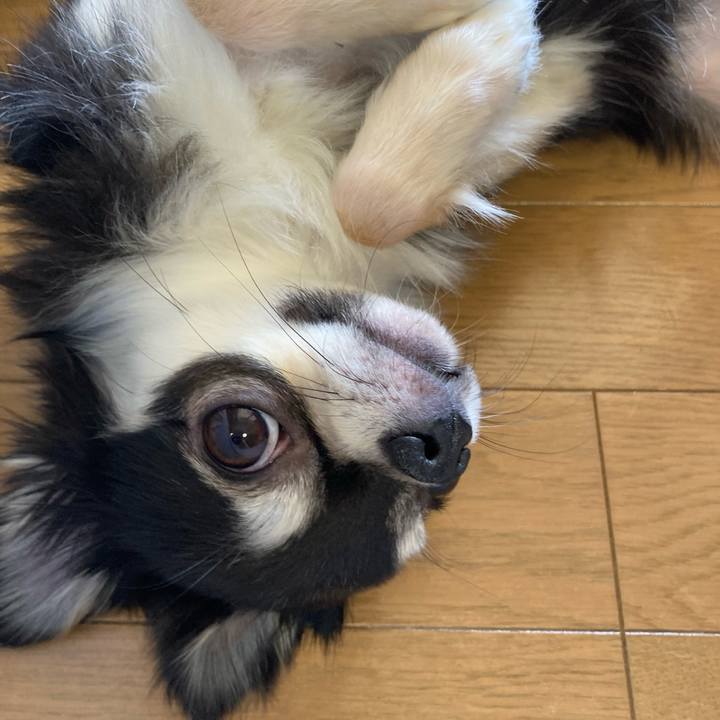 0e0d1c61 a065 437f 99ea 0b20f3450258 1620534919212