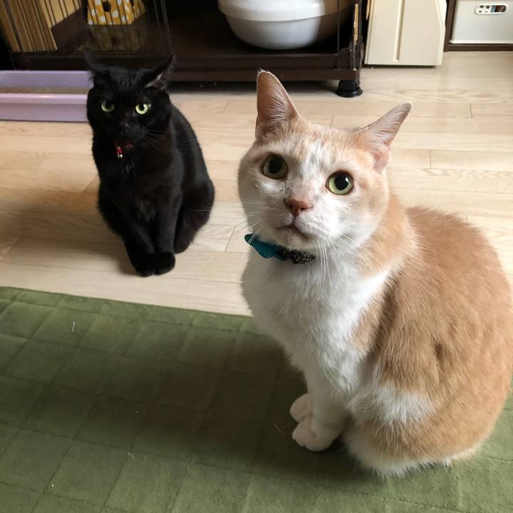 0e0d21b5 c3ed 42b5 b7a0 fa5f8d293e9c 1615499997022