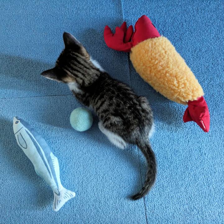 0e0d576e 3de6 4c17 8c19 48399f8f18c8 1718171236299