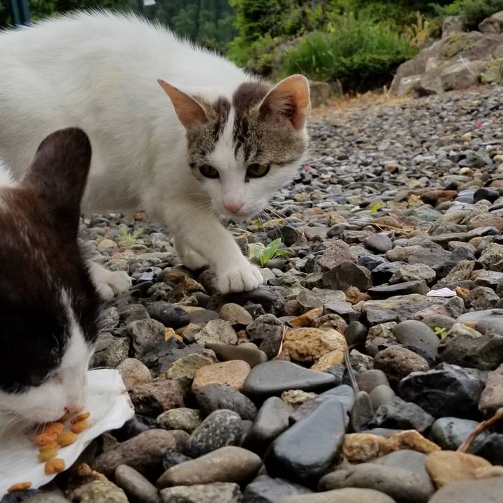 0e0d7266 523b 492f 8052 8f0e062e2d32 1560815992485