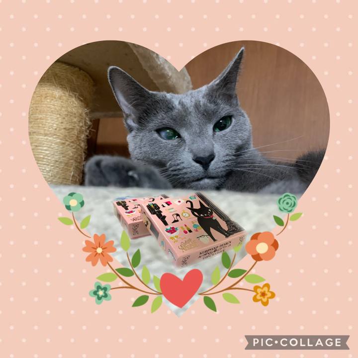 0e0dda68 4bfb 43dc 9aad 19cb92410311 1644798585769