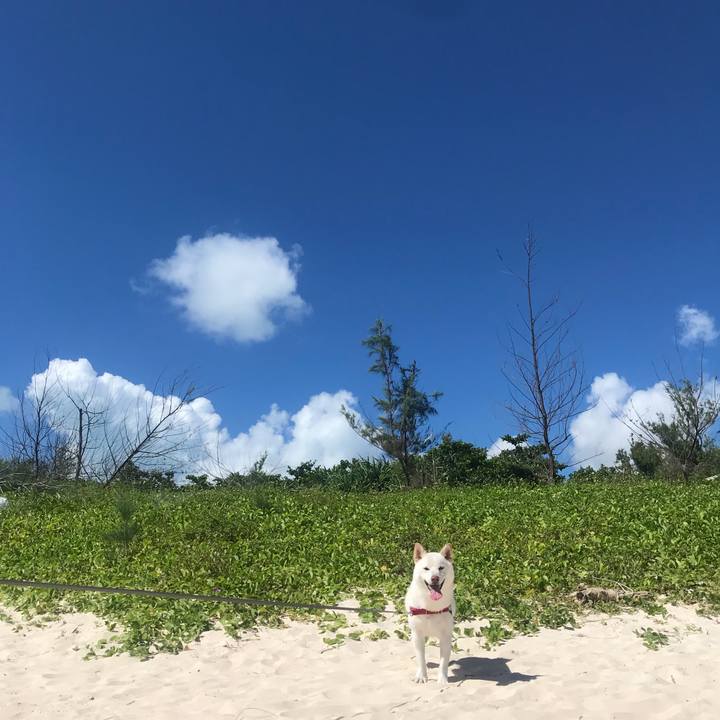 0e0deda9 d0dc 472b a519 5e459ee590e1 1537170546169