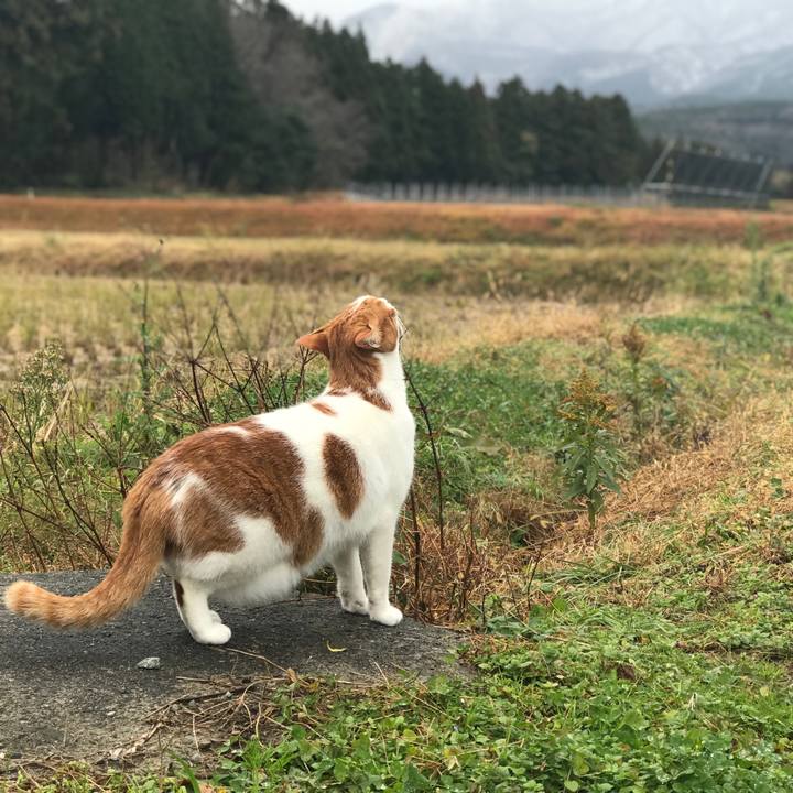 0e0e51ba 9690 488c a542 281249adcac0 1545021795151