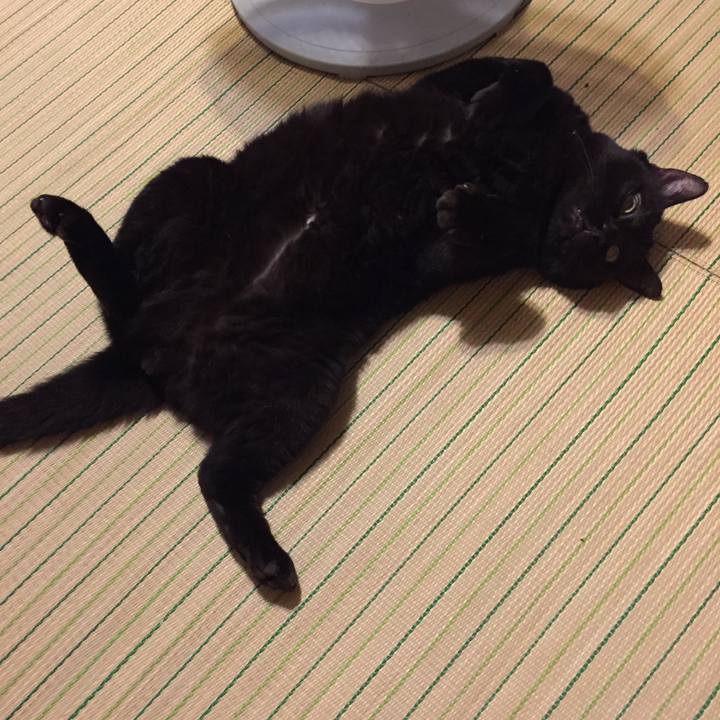 0e0ebddc 3e7a 4fe3 a754 6c101d129546 1534419438746