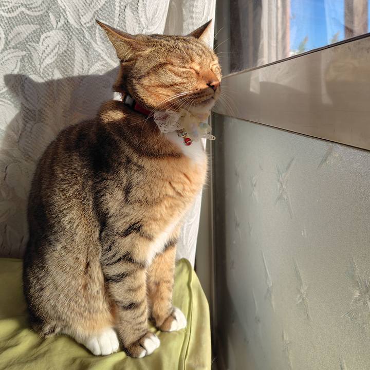 0e0ec3d5 a5fc 4703 8fbf f35fa4c095b8 1764977199091