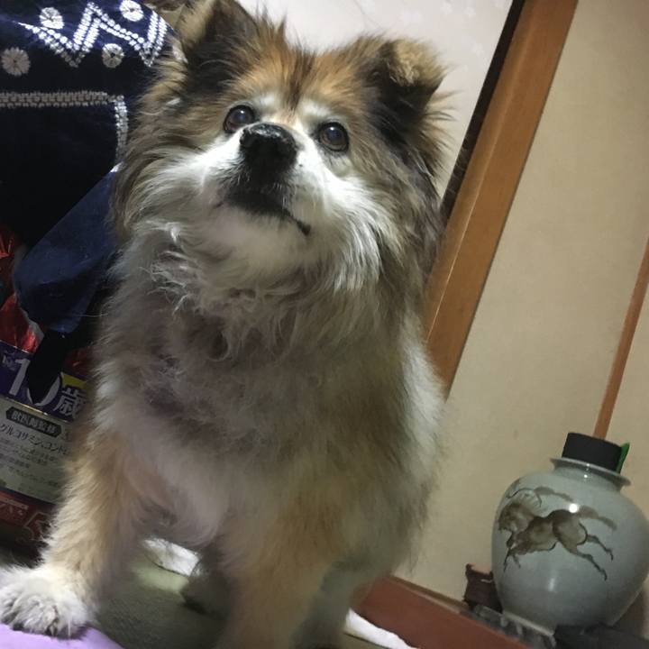 0e0ed58e 572e 40ec a5b7 20ff1551ddc1 1585208598974