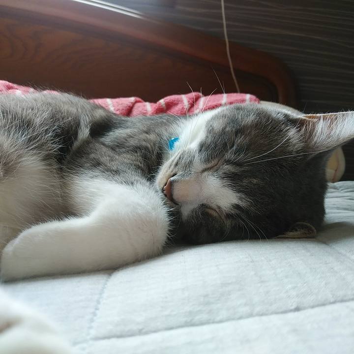 0e0edc3b c6f3 4867 8abf 88b35399a253 1590113437285