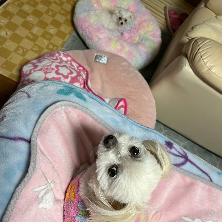 0e0ef2c4 2ab8 4ce1 a262 d04e269c0422 1705041793129