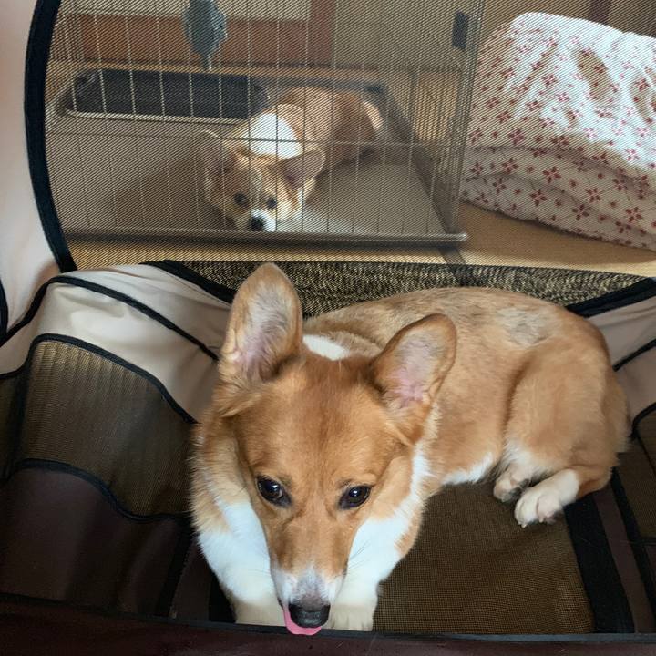 0e0f0df6 5240 4d3d 9c55 ffff47c4a8f1 1565437535255