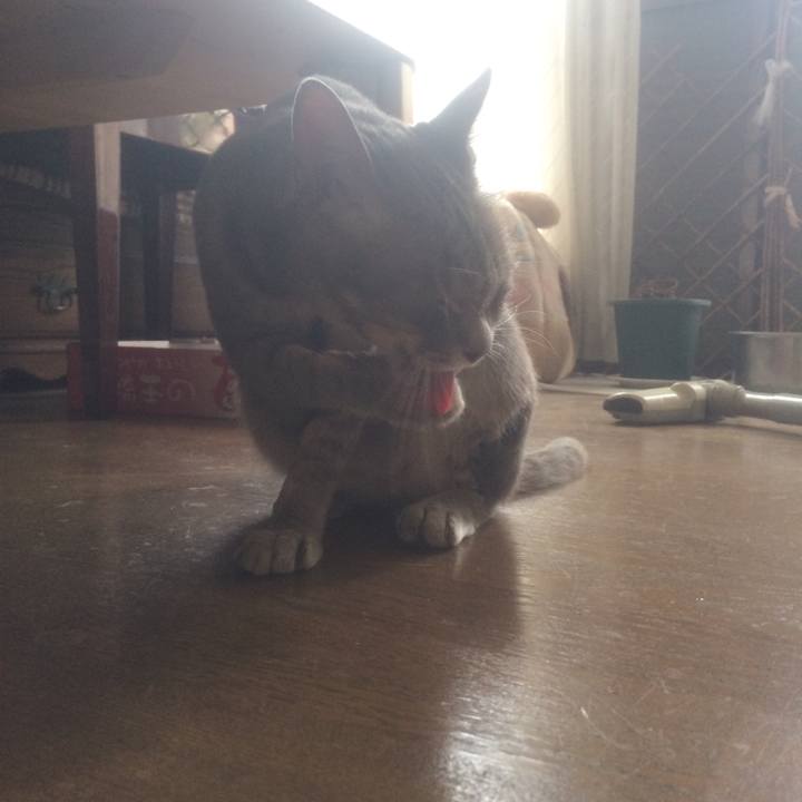 0e0f4afa b5fa 48fc aca9 8bd3fbfc6520 1532048733842