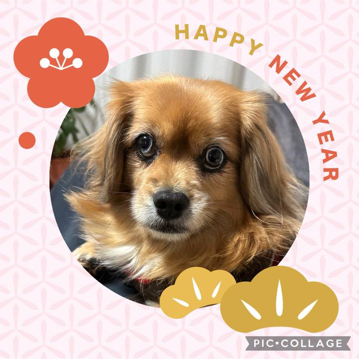 0e0f5a57 b6e0 47aa 9cff c177aa4a3889 1735696356212