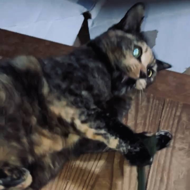 0e0f8009 73cf 48e6 962e b3b58a7fe6af 1737321746077