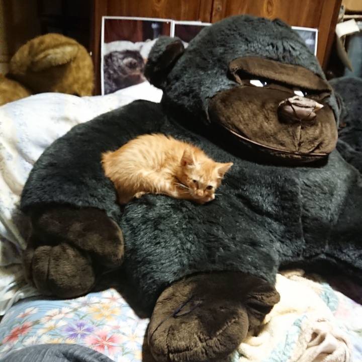 0e0f8c42 5491 4a87 a611 1078f214c990 1627819791013