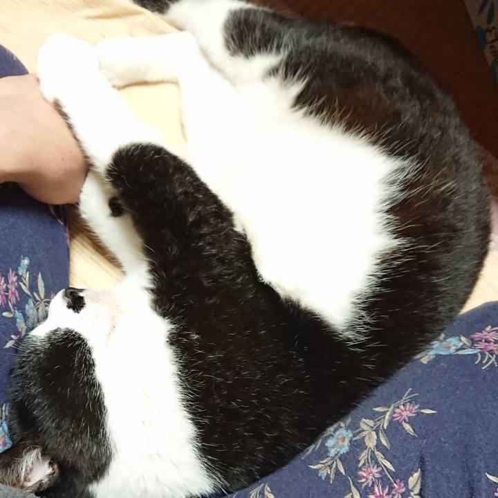 0e0fa49e 1e09 4349 9e12 8ee51e999e7b 1622202566259